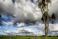 开云体育:中国绍兴将承办洛杉矶奥运会女子垒球亚洲/大洋洲区资格赛
