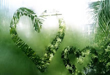 开云体育下载:2030年女篮世界杯、2031年男篮世界杯分别落户日本和法国